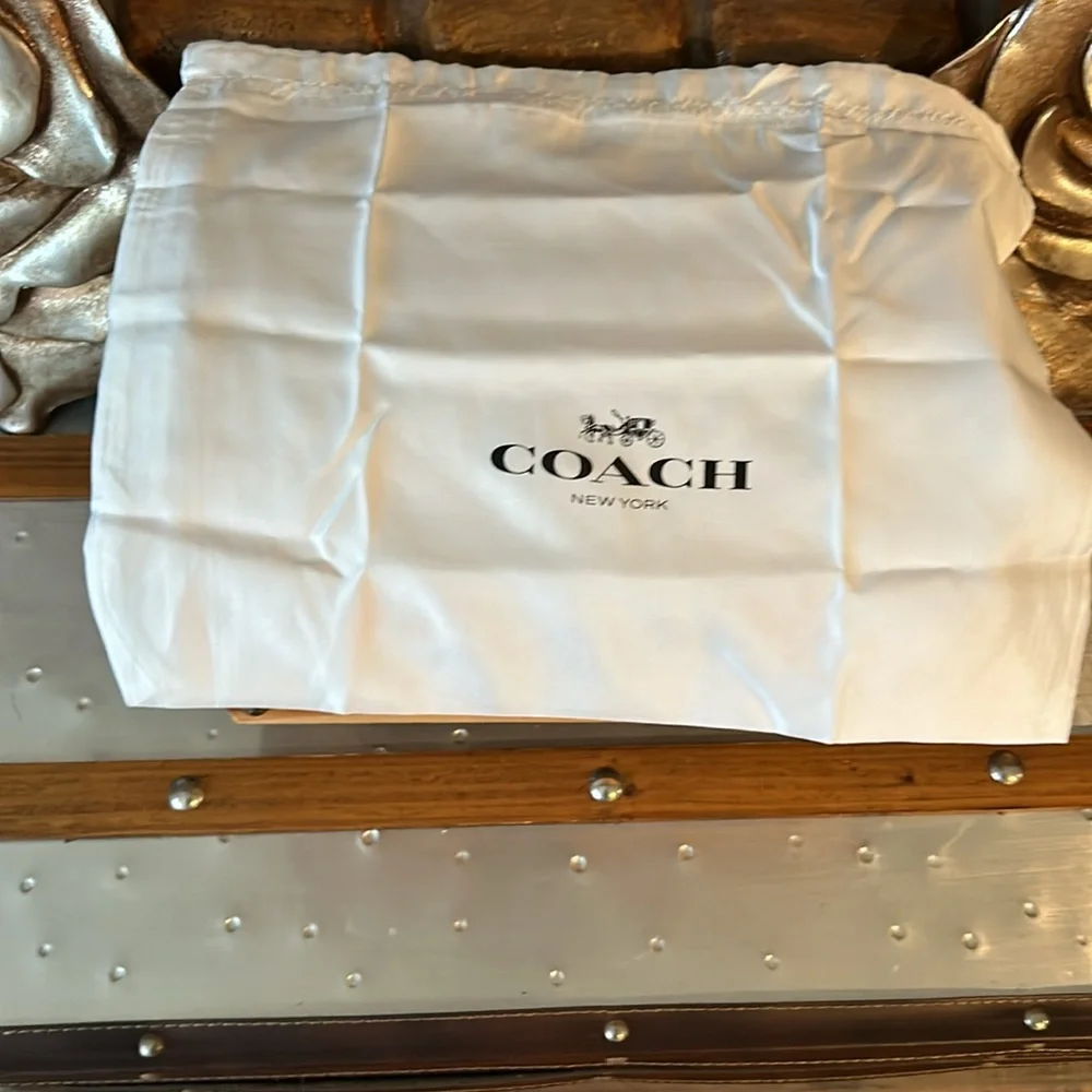 EUC: Coach Color Block Leather Crossbody with additional short strap & dust bag.